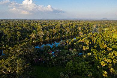 Arrowhead希望保持独立并获得类似暴雪的地位